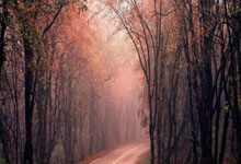 德转：原山东泰山队中场廖力生自由身加盟成都蓉城.