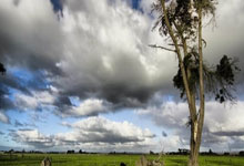 九游体育：亚冬会后再创佳绩 李方慧勇夺世界杯金牌.