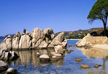 九游体育：德甲前瞻｜拜仁3-0圣保利：后防伤麻了，领先6分.